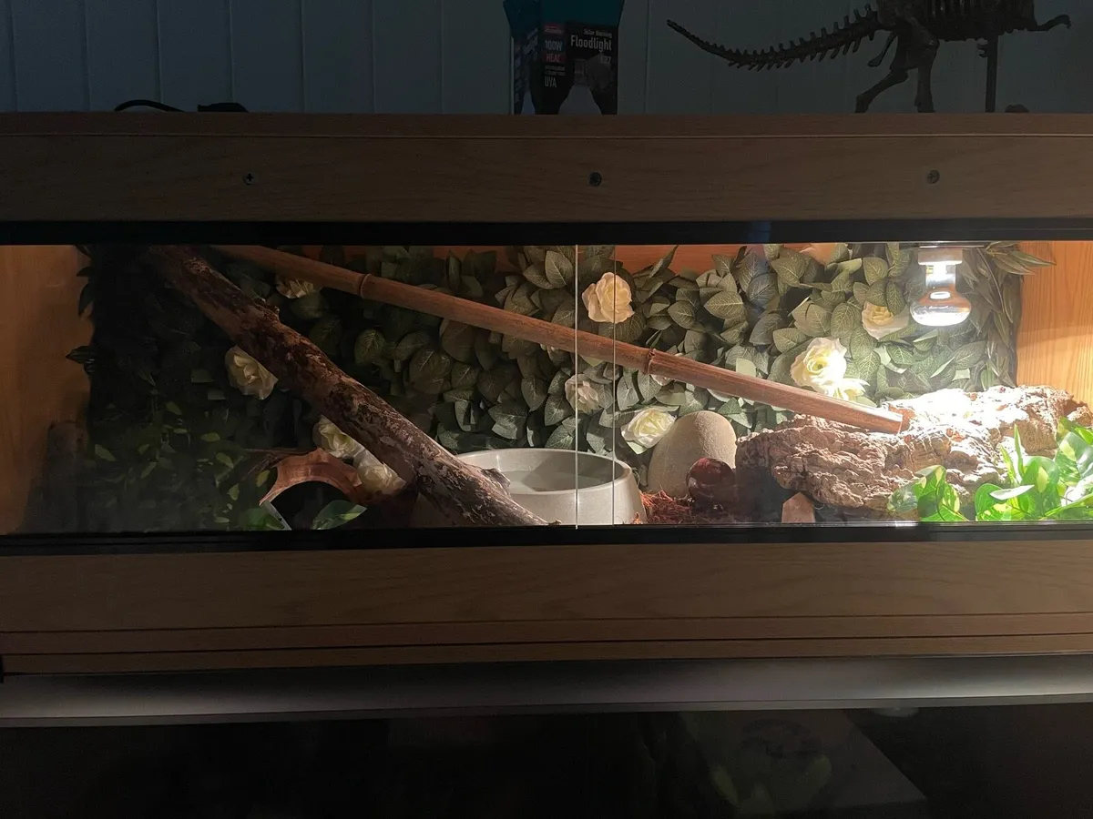 Vivariums - Image 3
