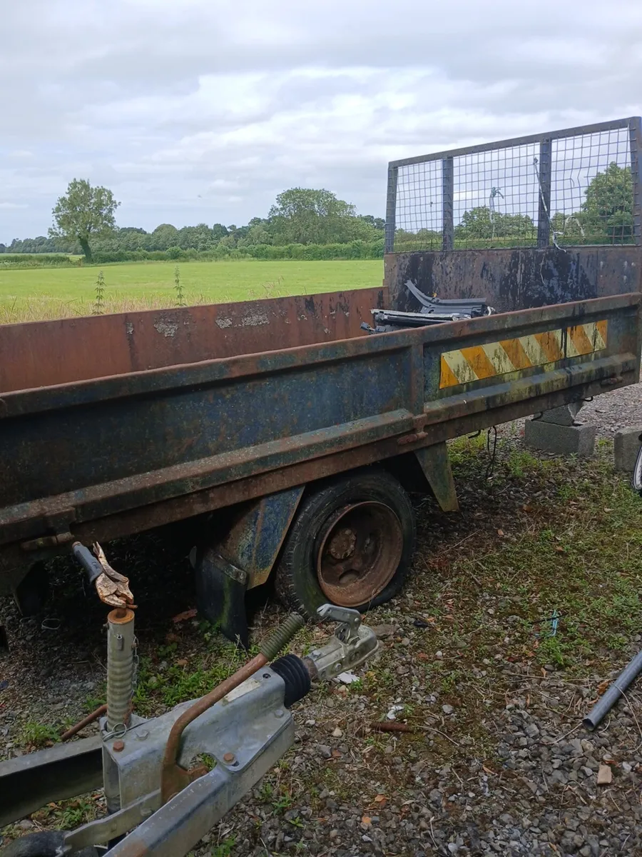 Yard clear out - Image 4