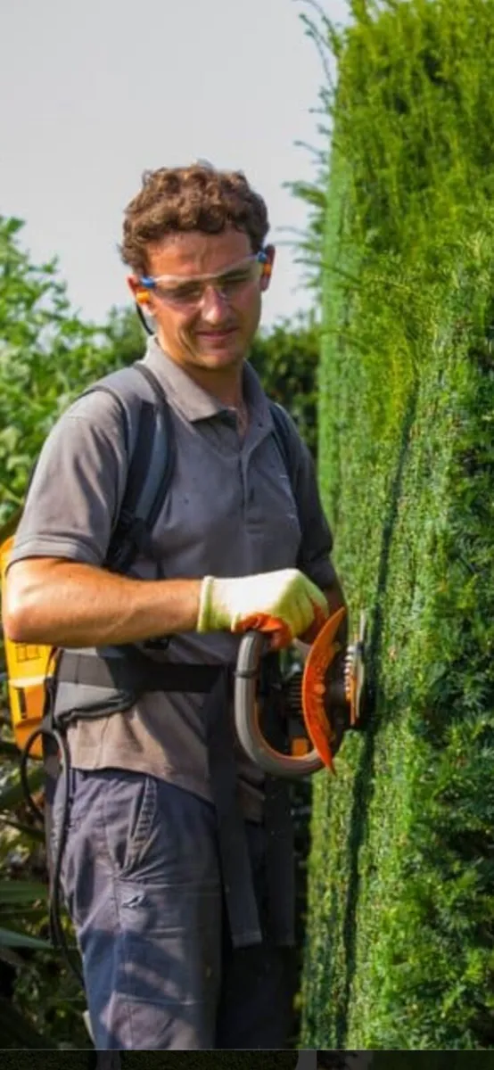 Landscaping - Image 2