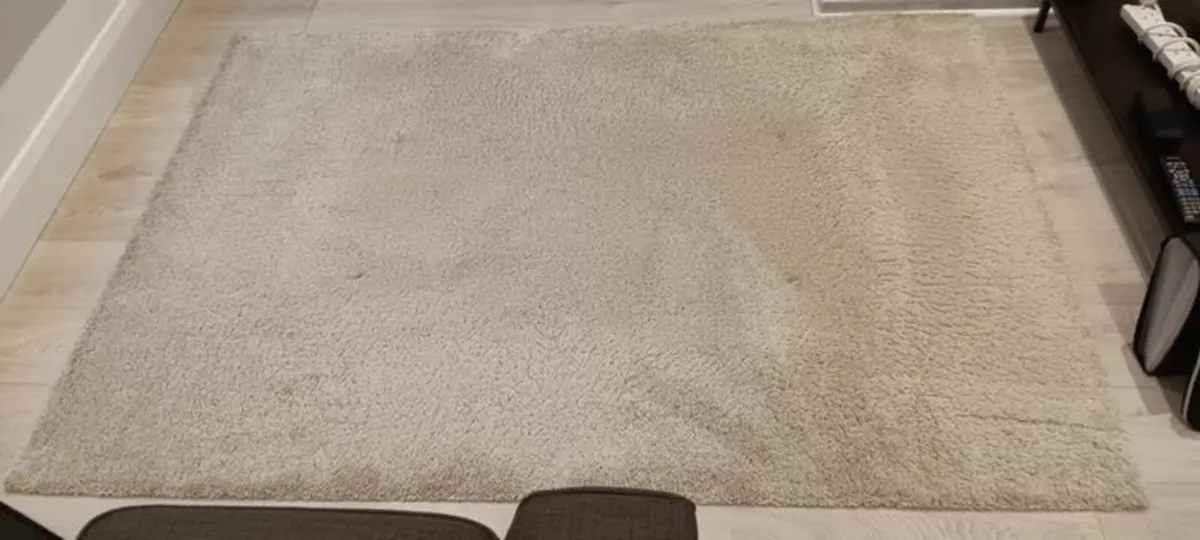 RUG - Image 2