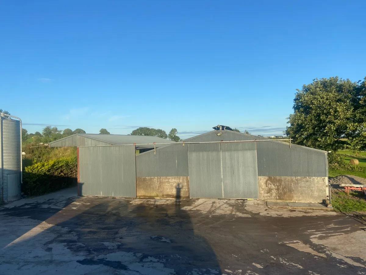 Sheds/Warehouses to rent - Image 2