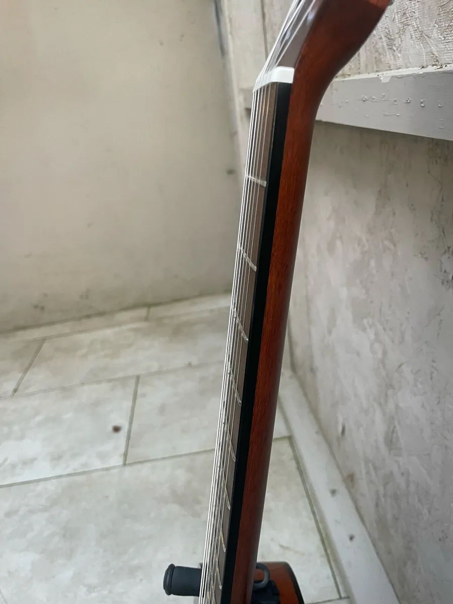 Guitar - Image 2