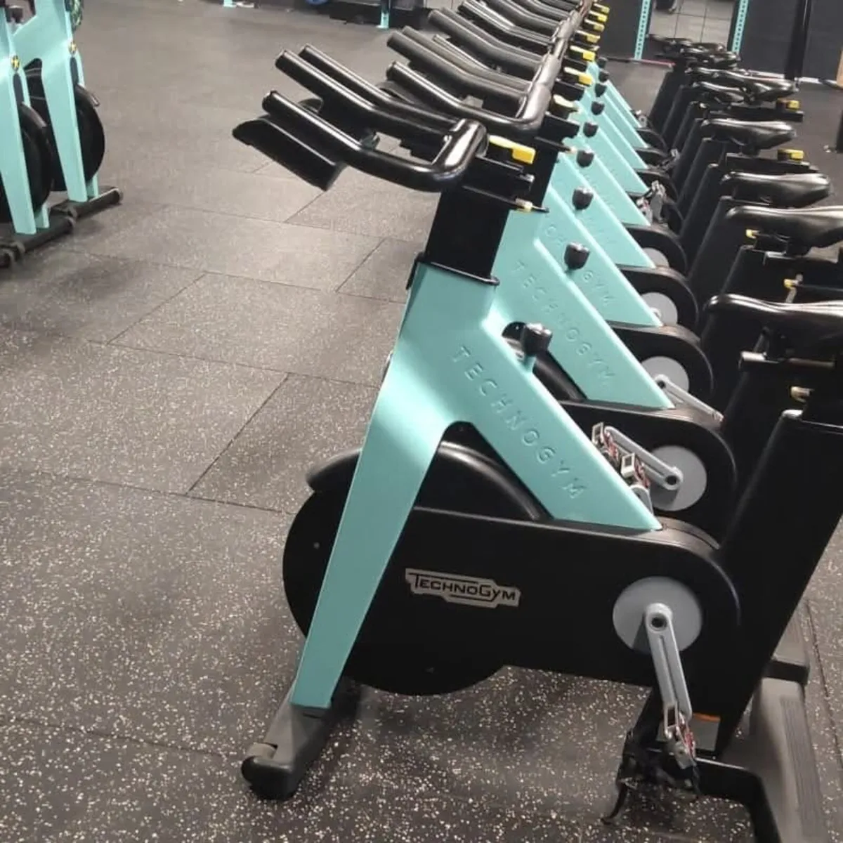 Technogym Spin bikes fully refurbished