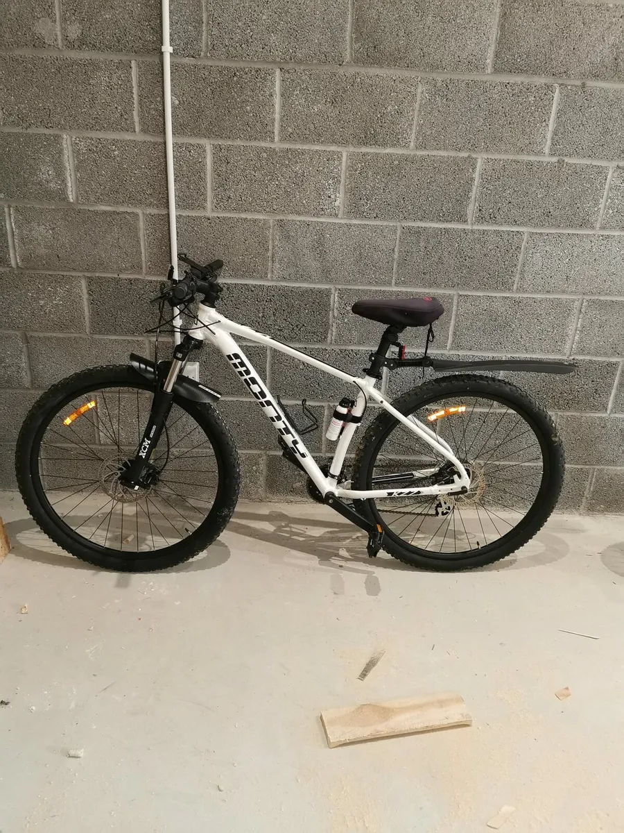 Mountain Bike - Image 1
