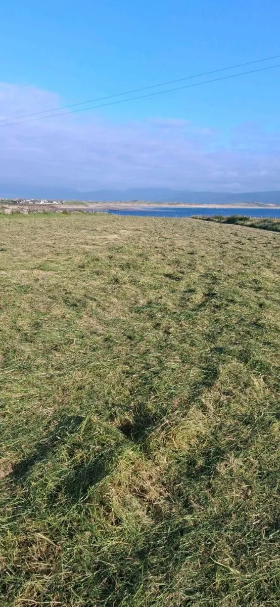 Hay - Image 1