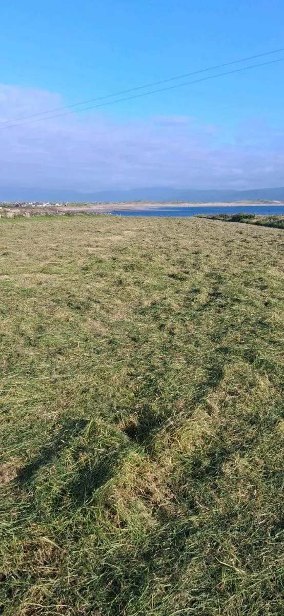Hay - Image 2