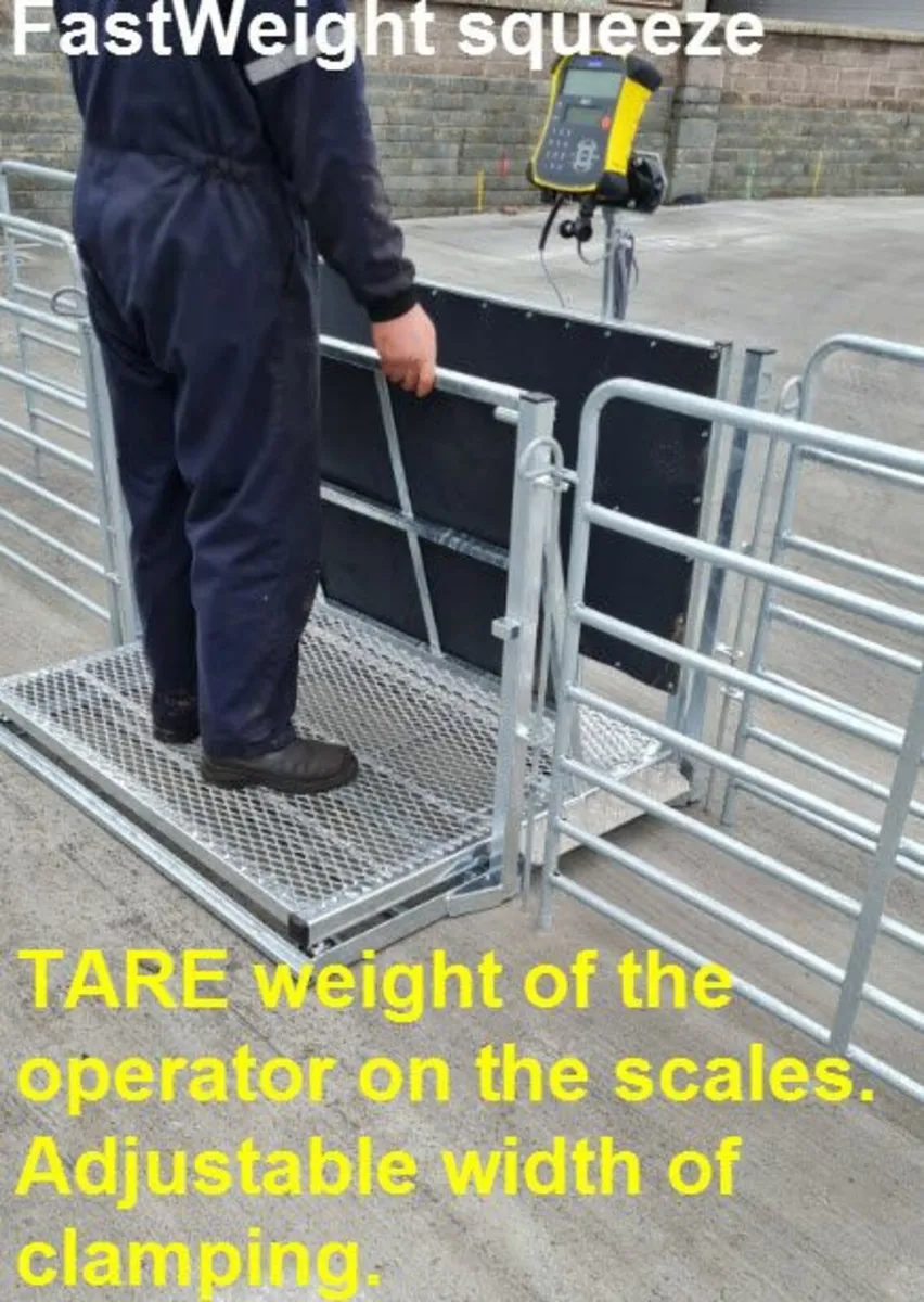 Fast Weigh  squeeze  Crate - Image 2