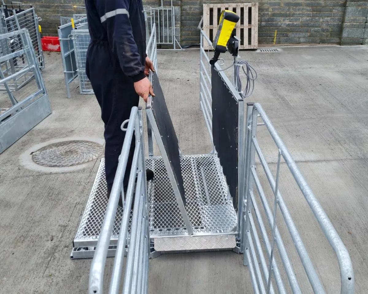 Fast Weigh  squeeze  Crate - Image 1