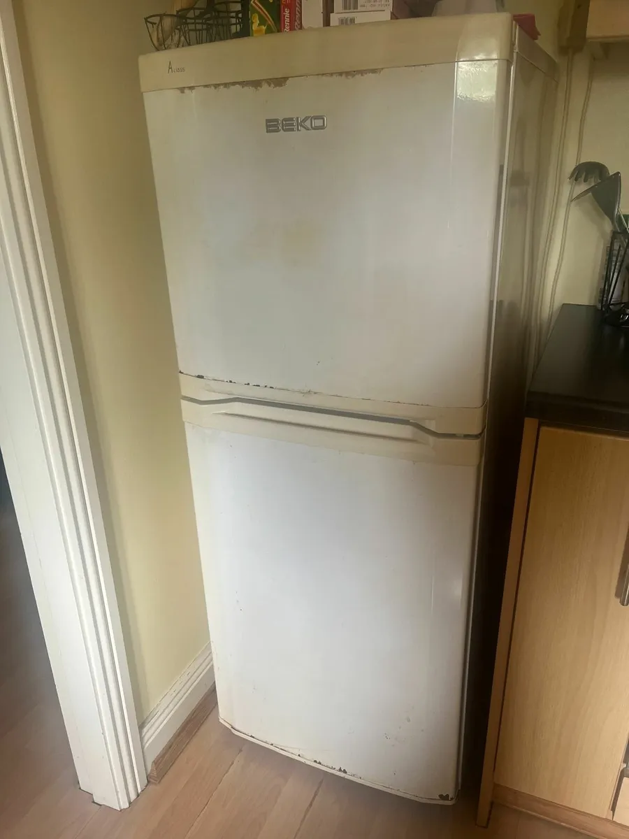 Fridge