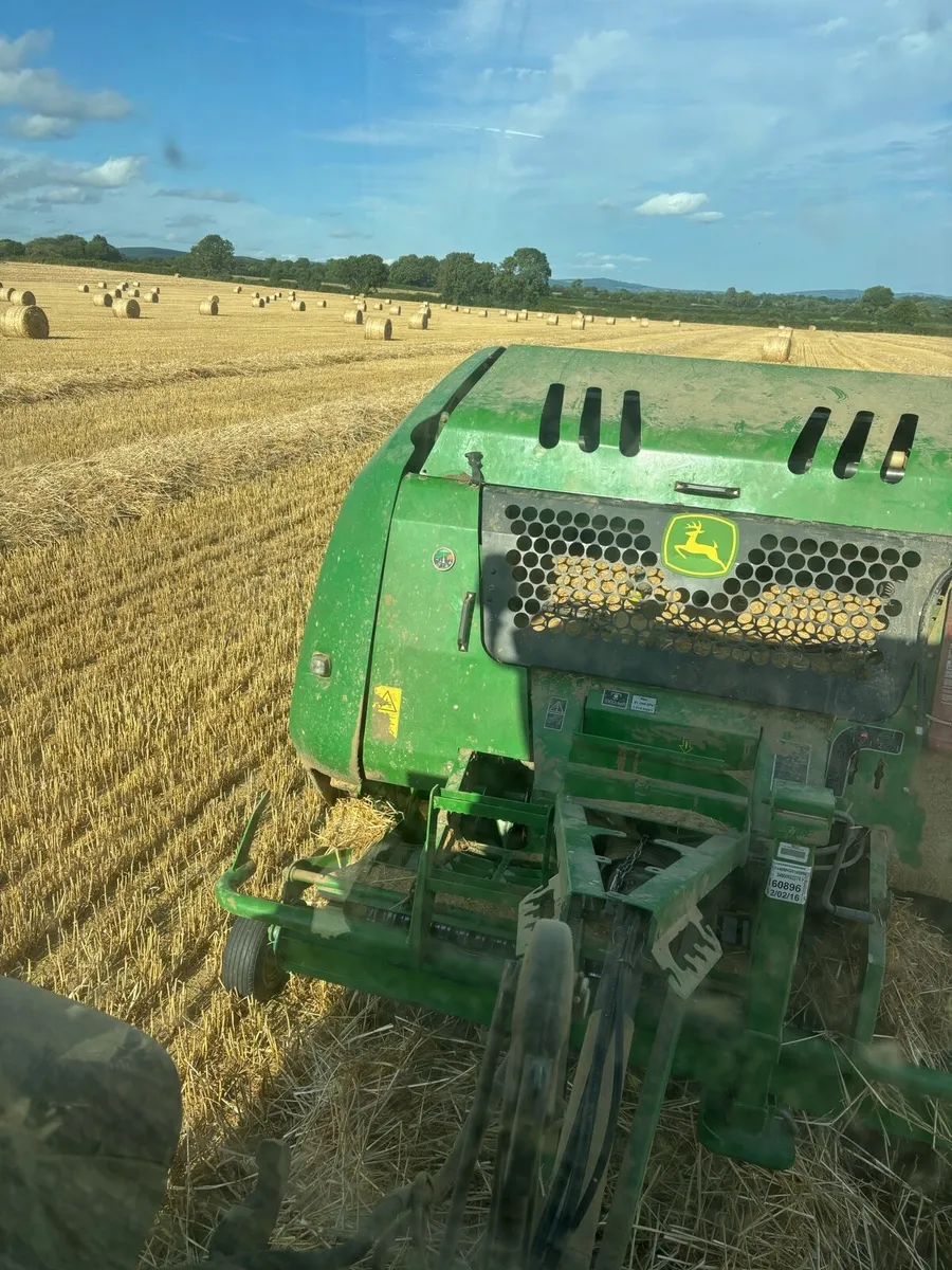 Barley Straw