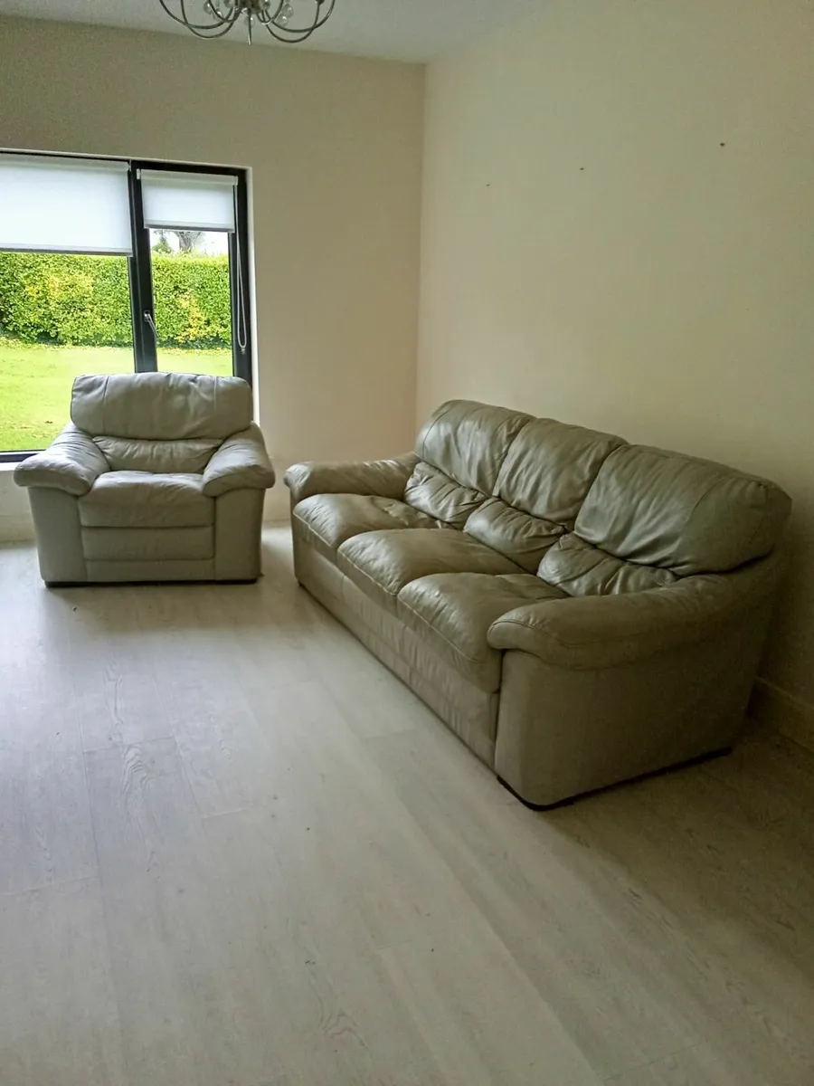 grey Leather Couch and armchair - Image 1