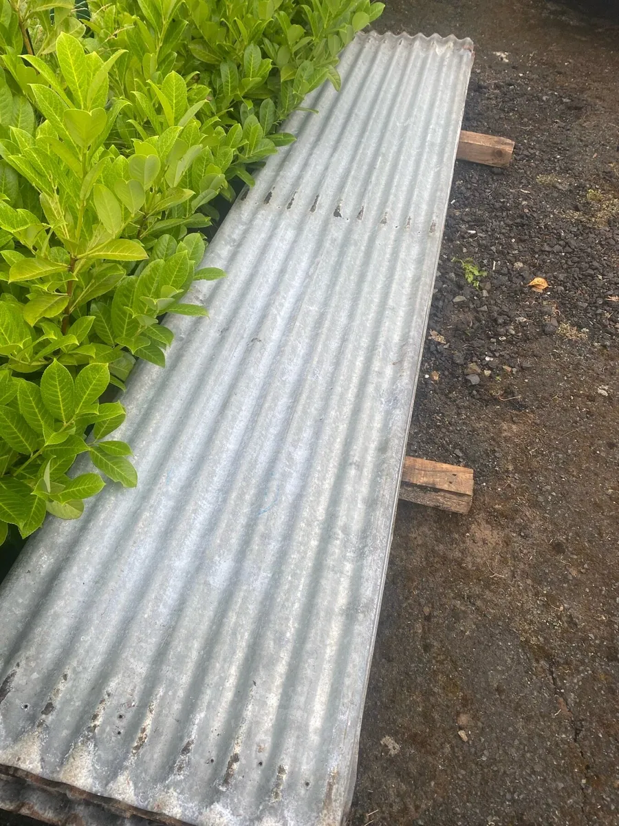 Corrugated iron roof sheeting - Image 3