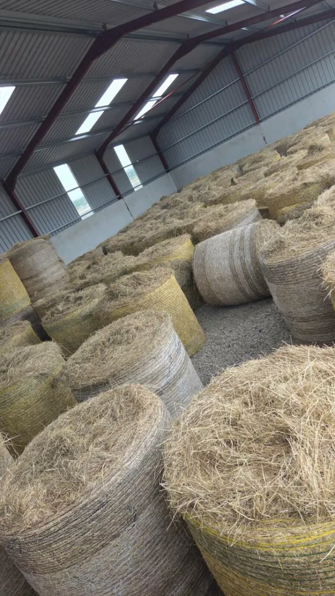 HAY