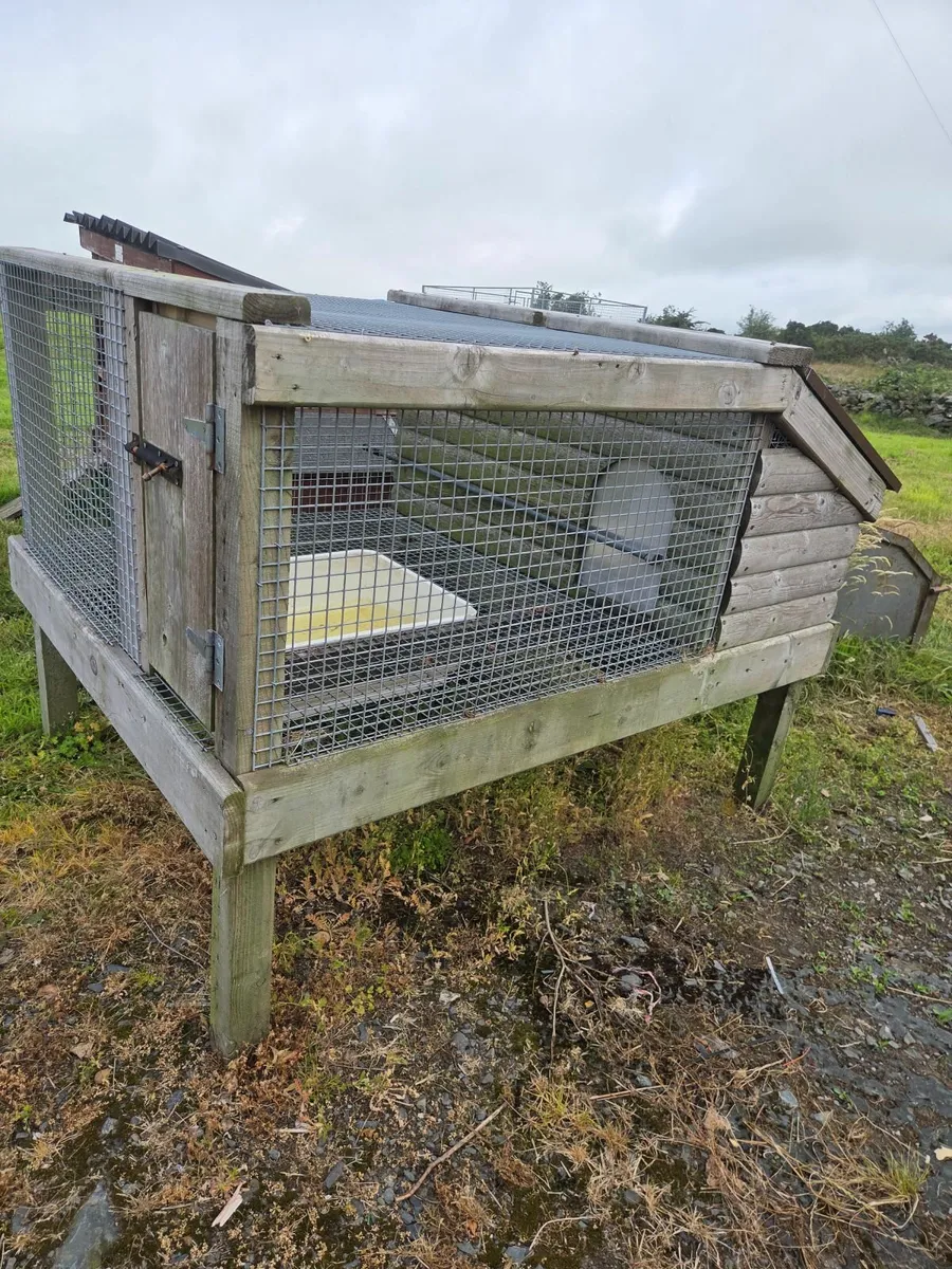 Hen house - Image 1