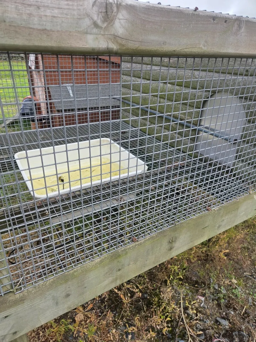 Hen house - Image 2