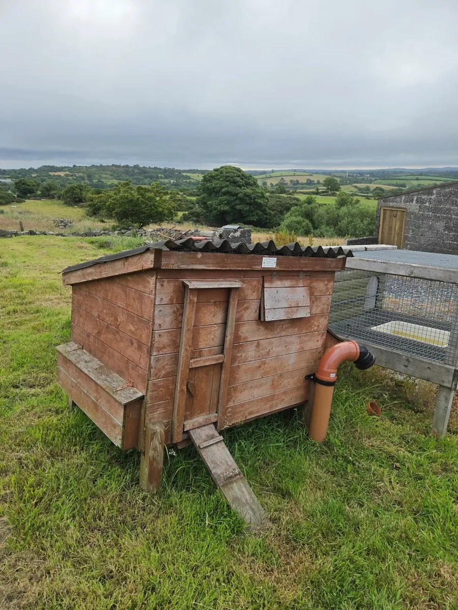Hen house - Image 3
