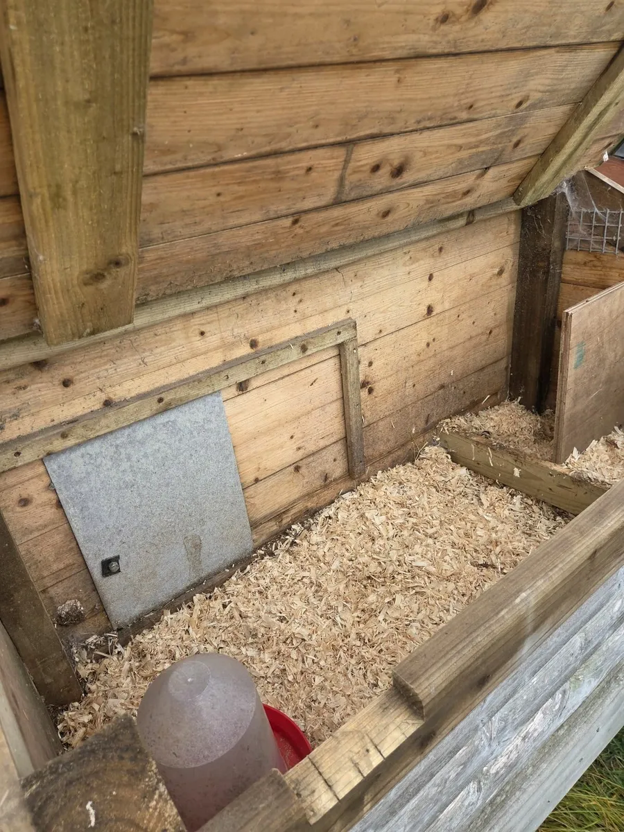 Hen house - Image 4