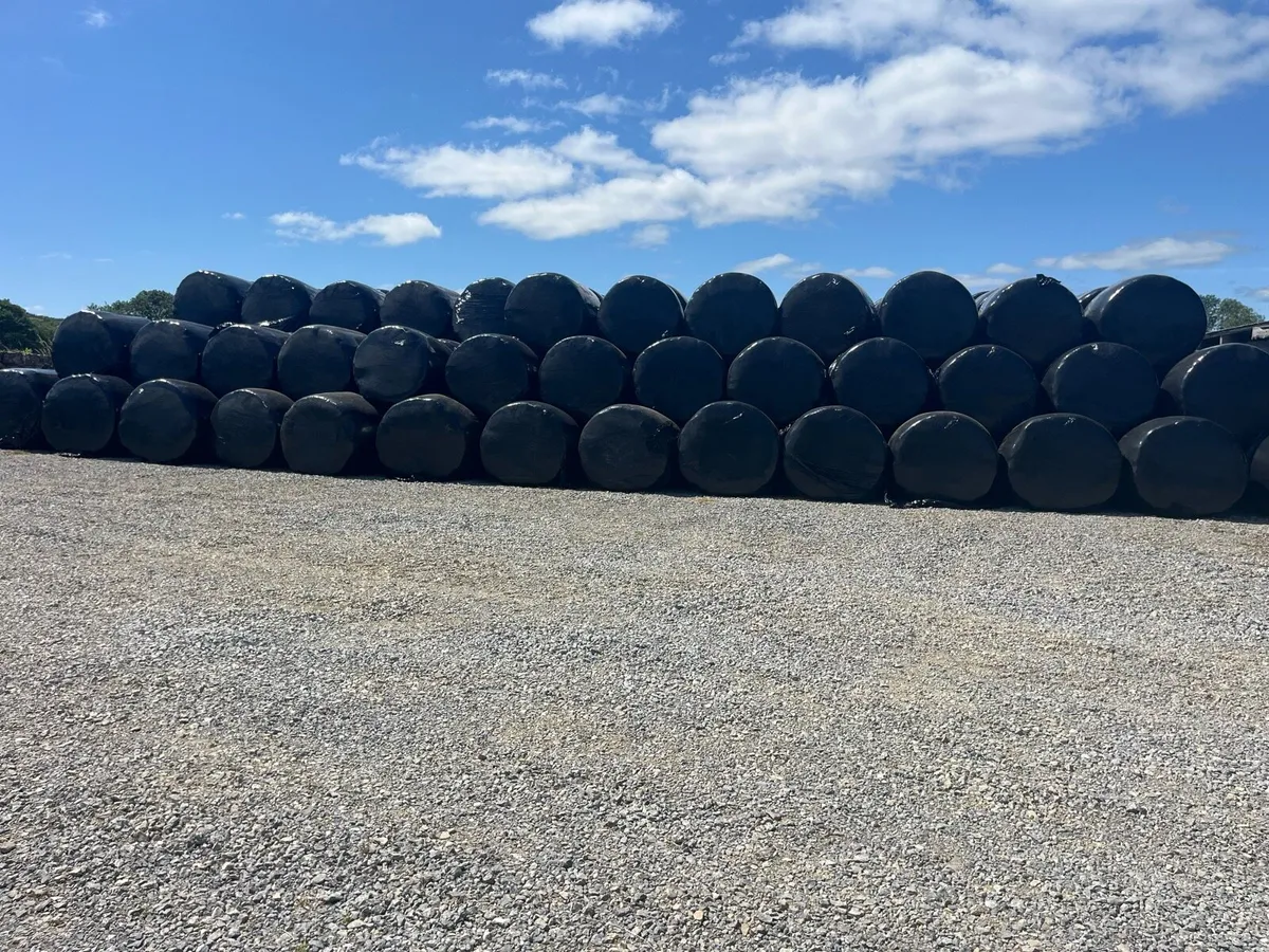 Silage Bales - Image 1