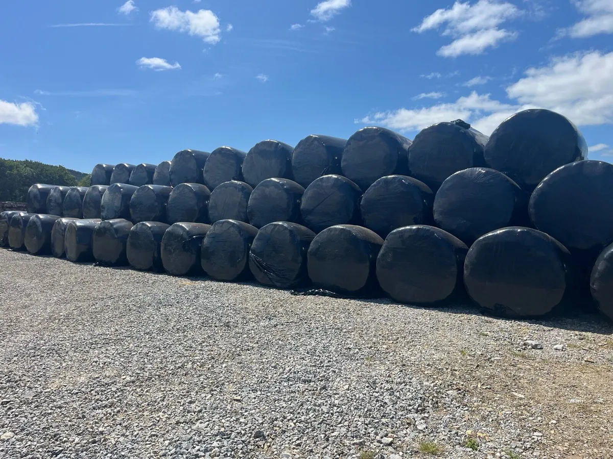 Silage Bales - Image 2
