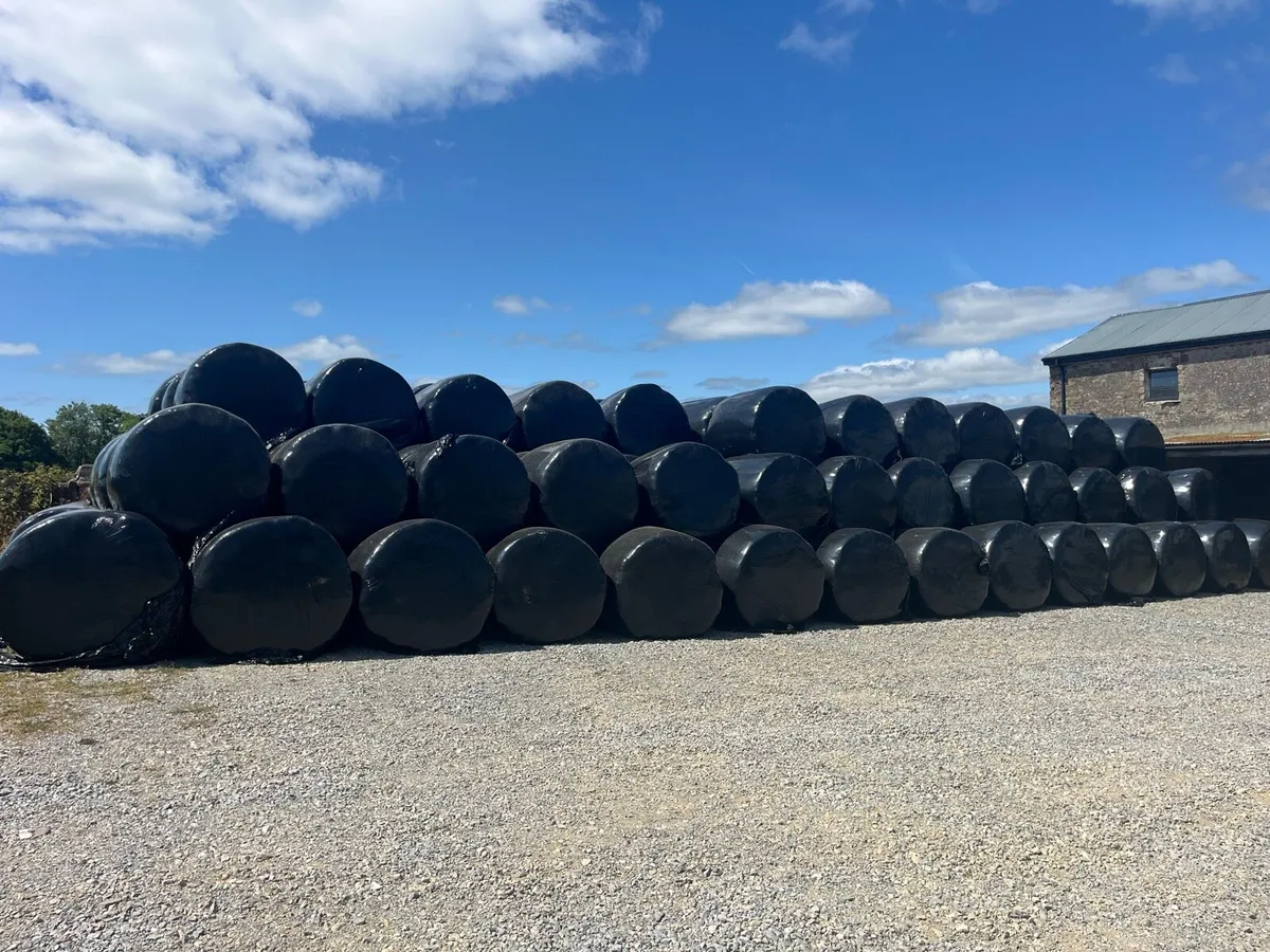 Silage Bales - Image 3