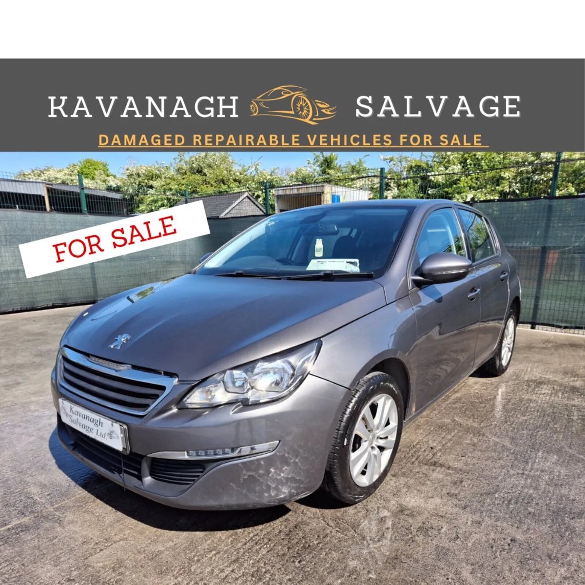 162 Peugeot 308  1.6 Diesel - Image 1