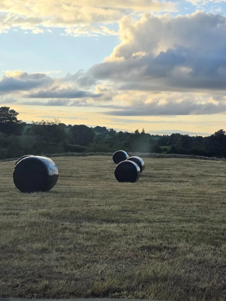 69 Bales of top class Haylage - Image 1