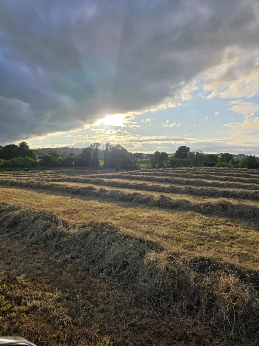 69 Bales of top class Haylage - Image 2
