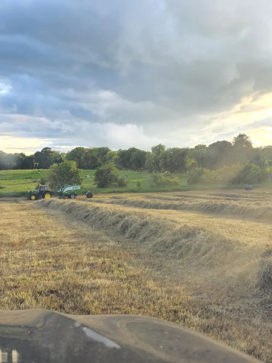 69 Bales of top class Haylage - Image 3