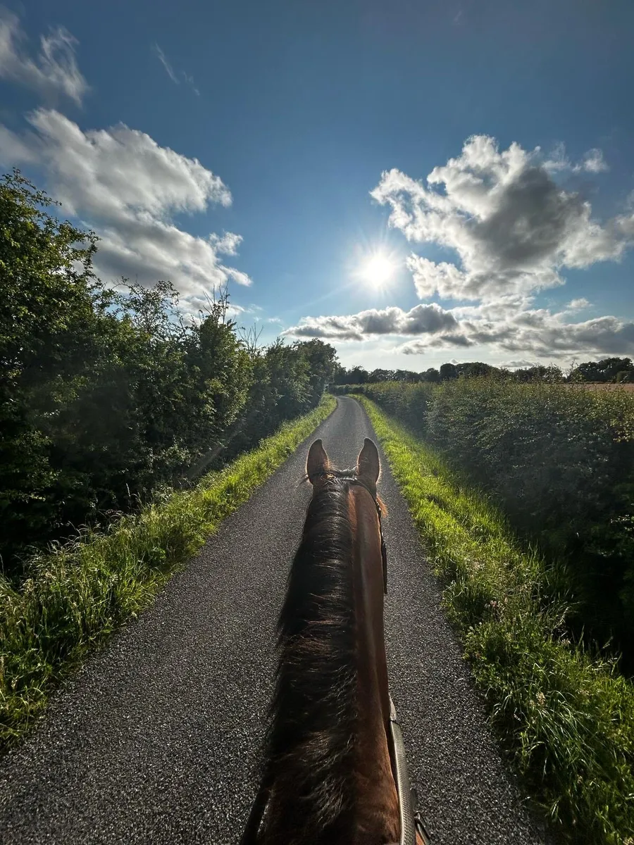 Livery - Image 1