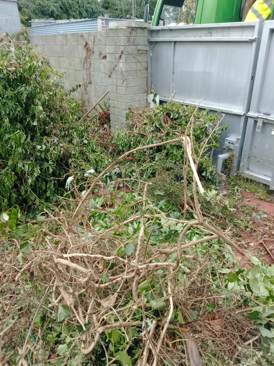 Rubbish removal - Image 2