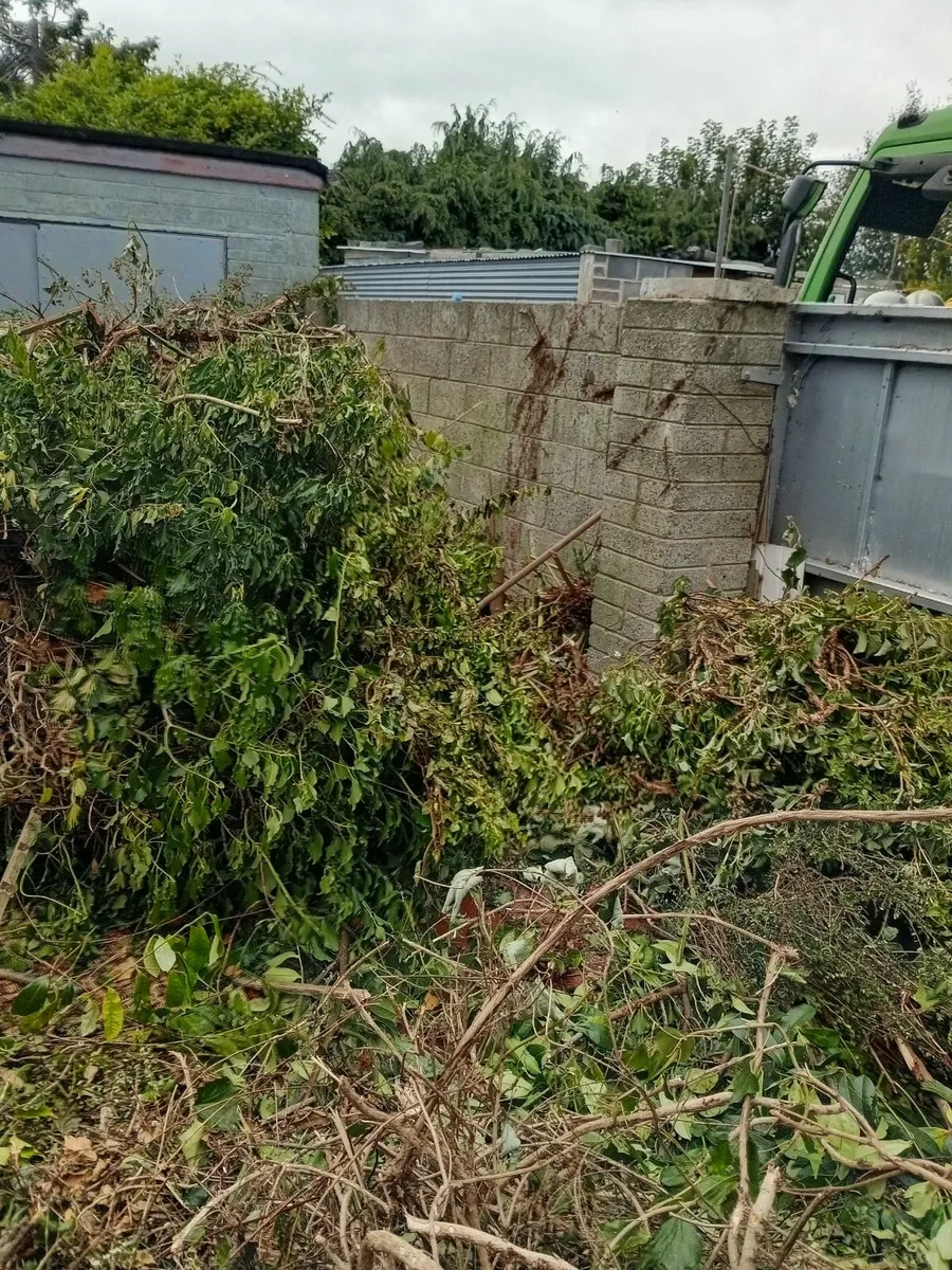 Rubbish removal - Image 3