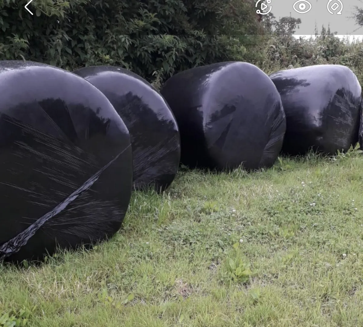 11 Silage bales.
