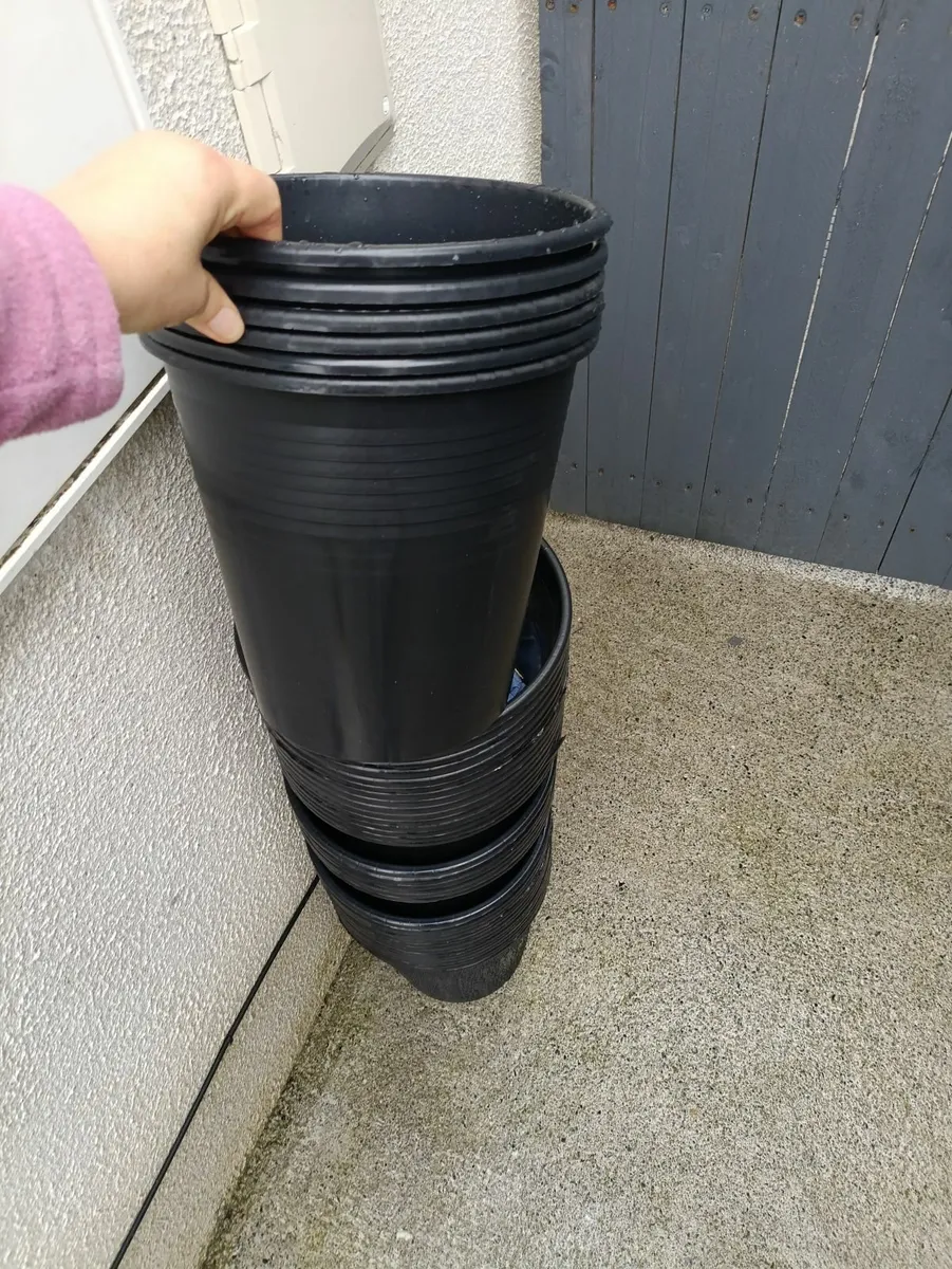 Buckets 12L - Image 1