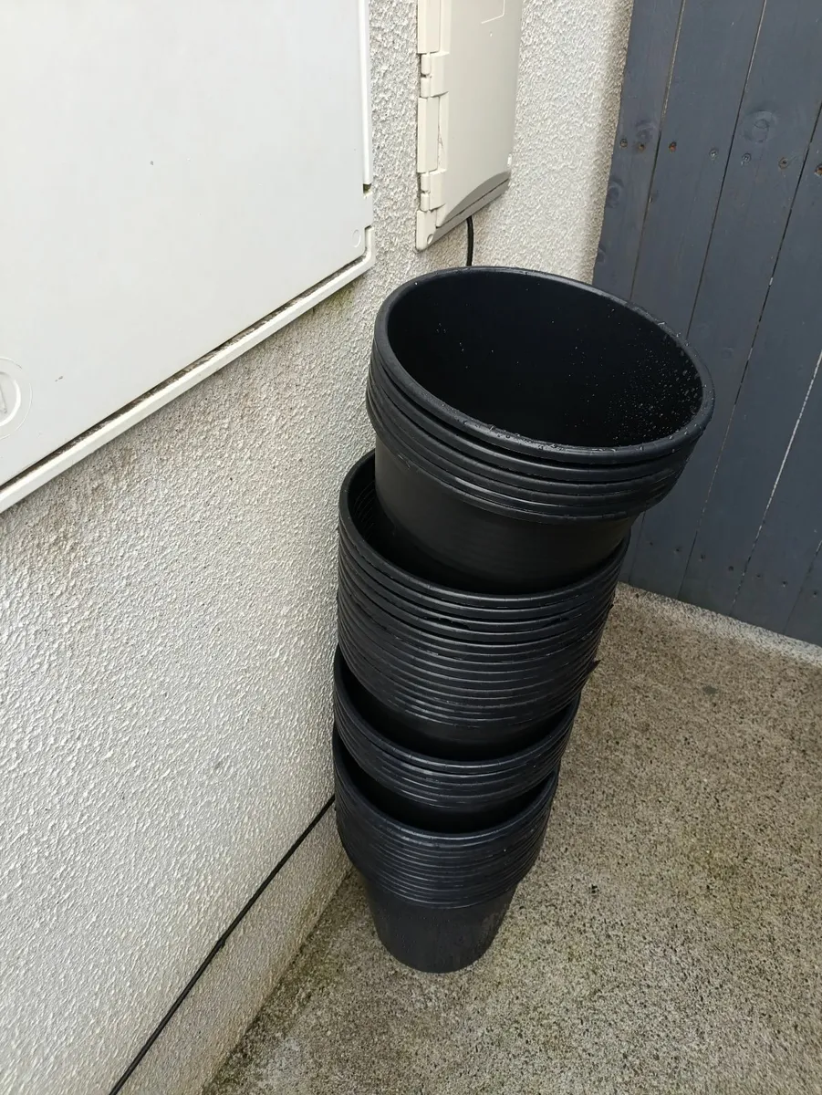 Buckets 12L - Image 2