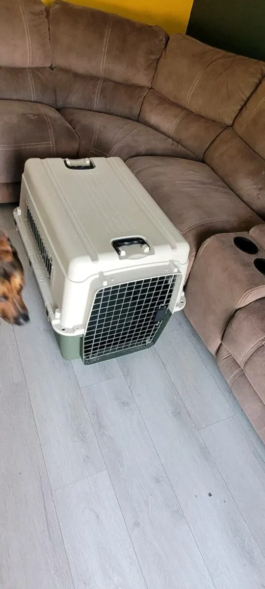 Dog crate - Image 4