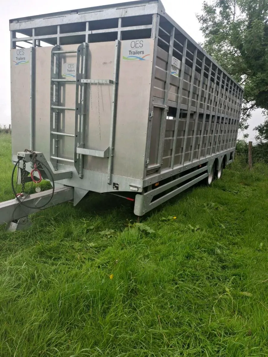 24 ft oce cattle trailer AS NEW - Image 2