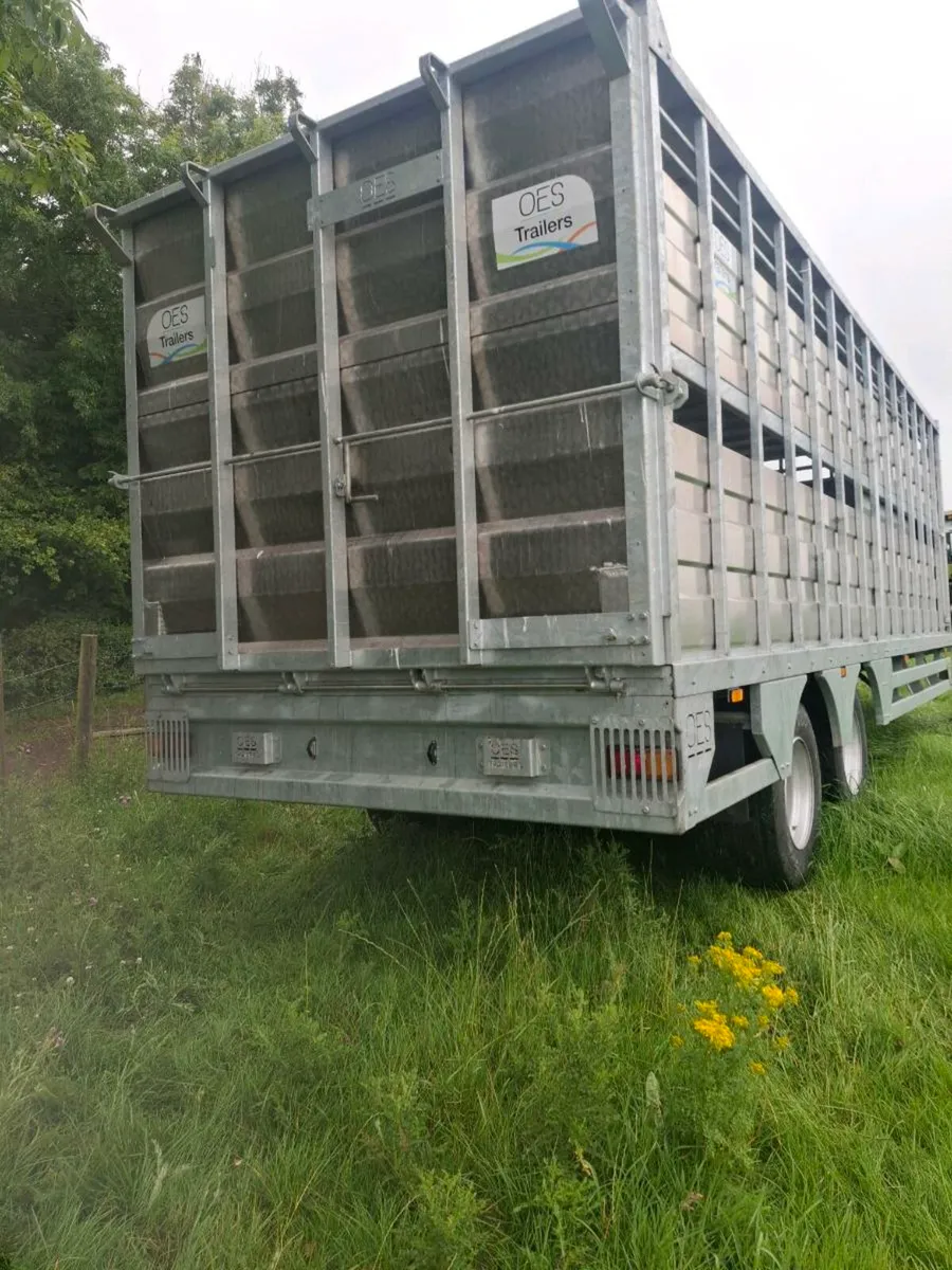 24 ft oce cattle trailer AS NEW - Image 3