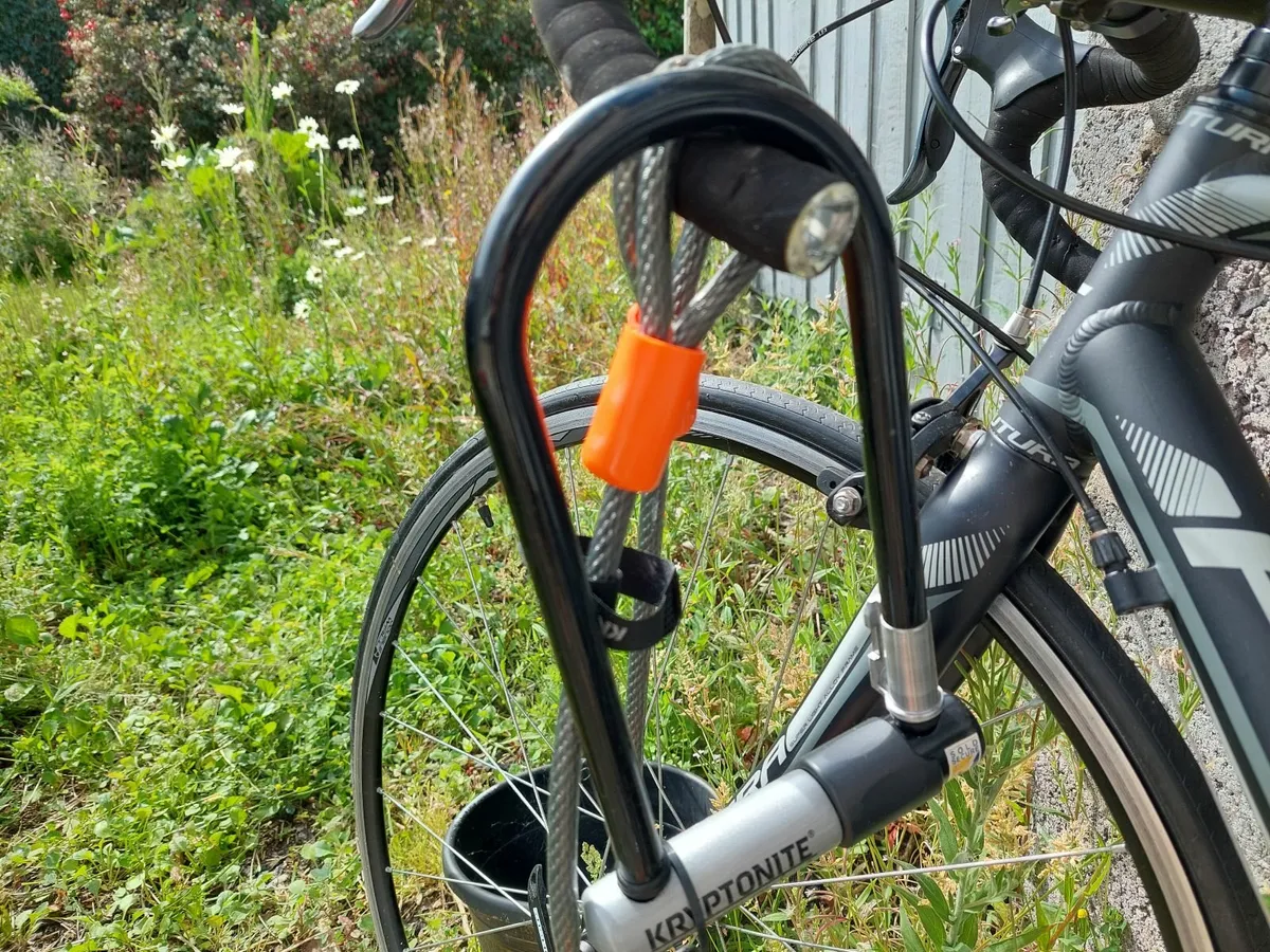 Road bike sprint size 51 plus lock great for learn - Image 2