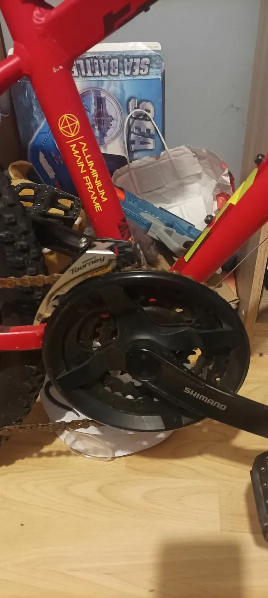 Carrera Mountain Bike for kids - Image 4