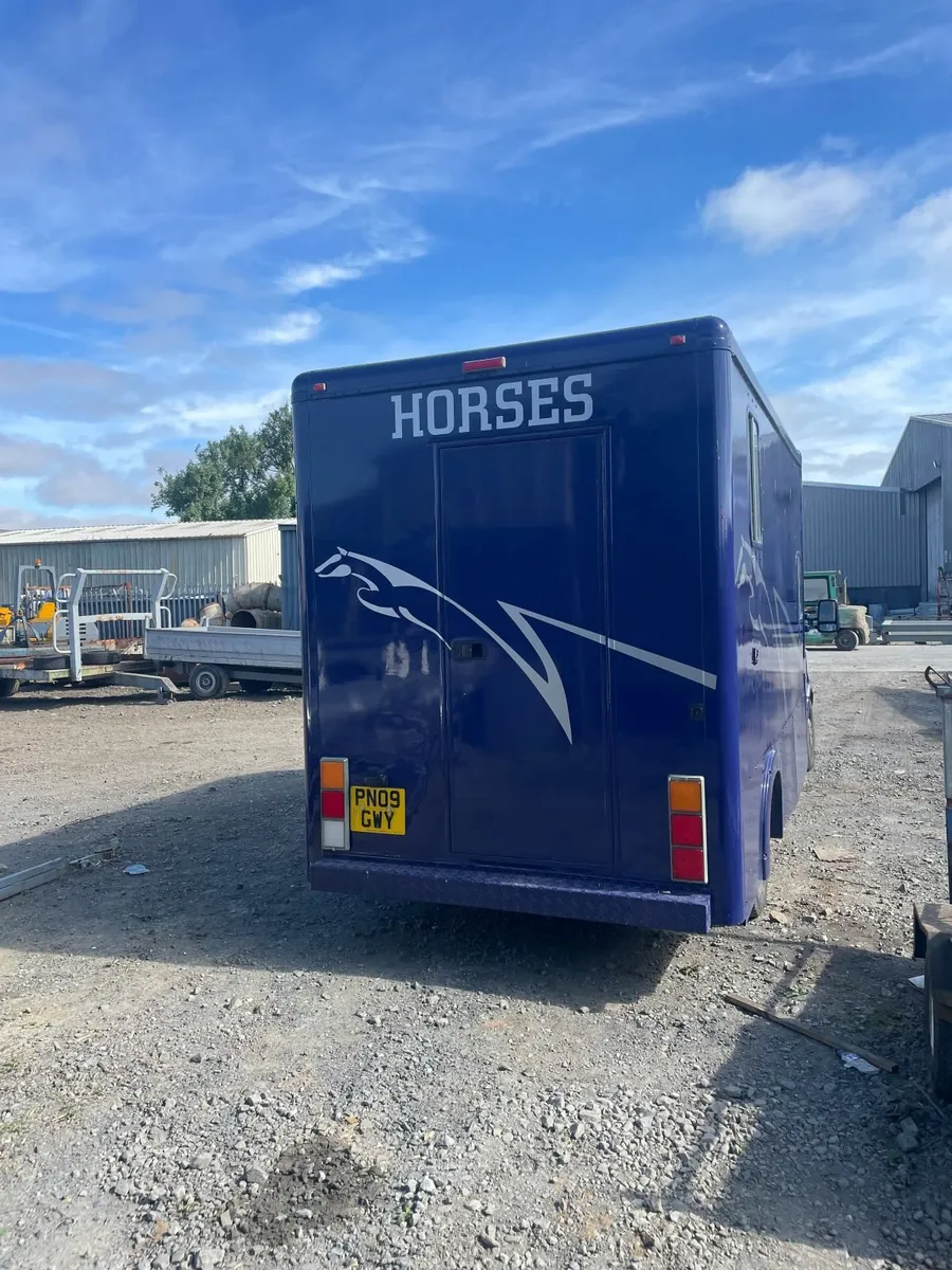 Horse Van - Image 4