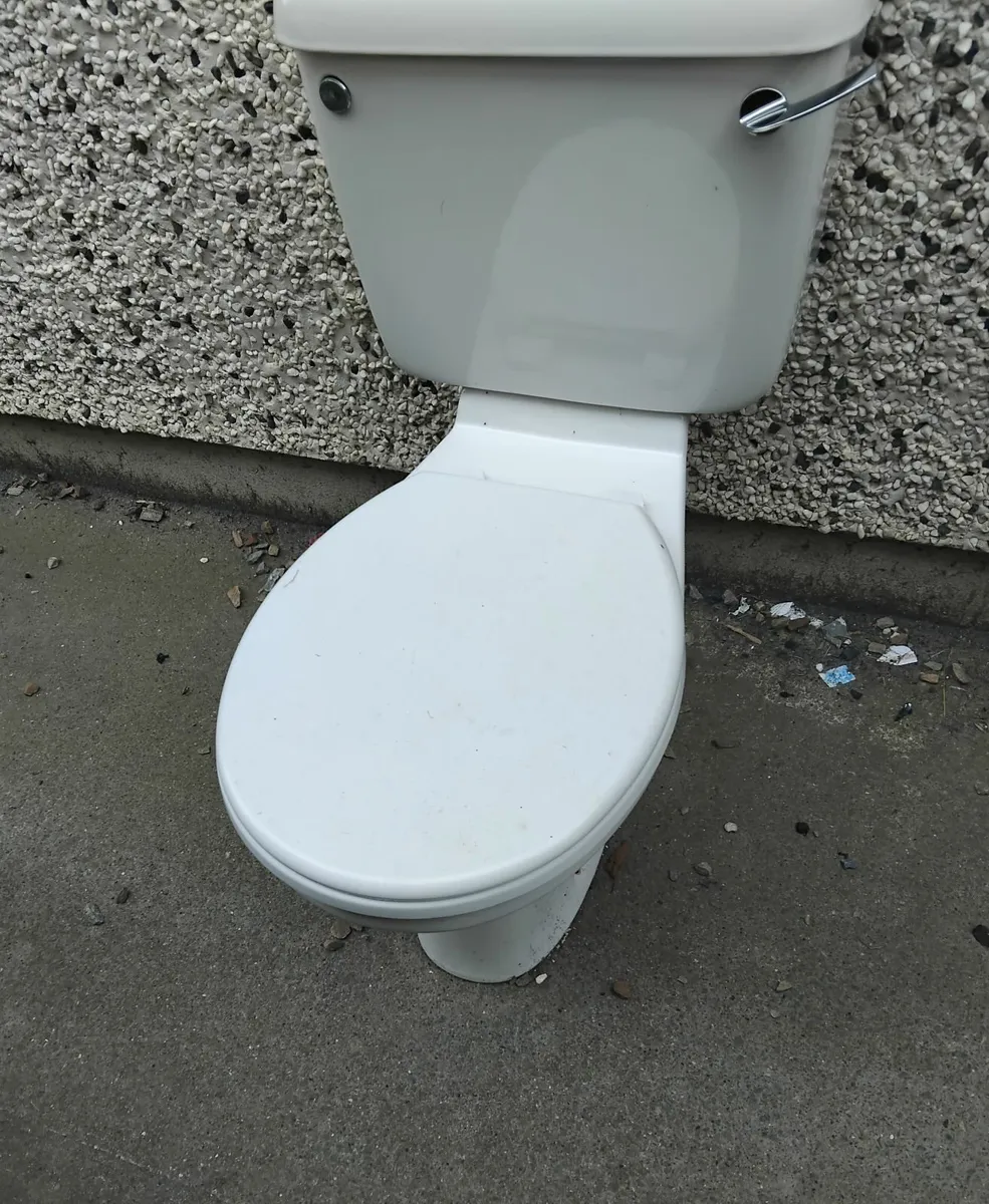 Toilet and Sink - Image 2