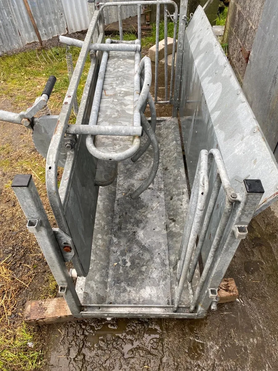 Cormac sheep turnover crate - Image 2