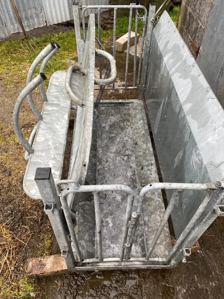 Cormac sheep turnover crate - Image 3