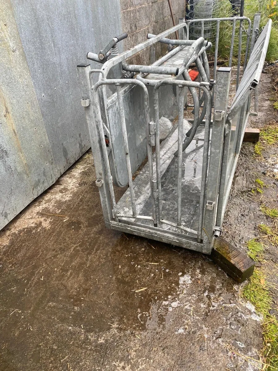 Cormac sheep turnover crate - Image 4