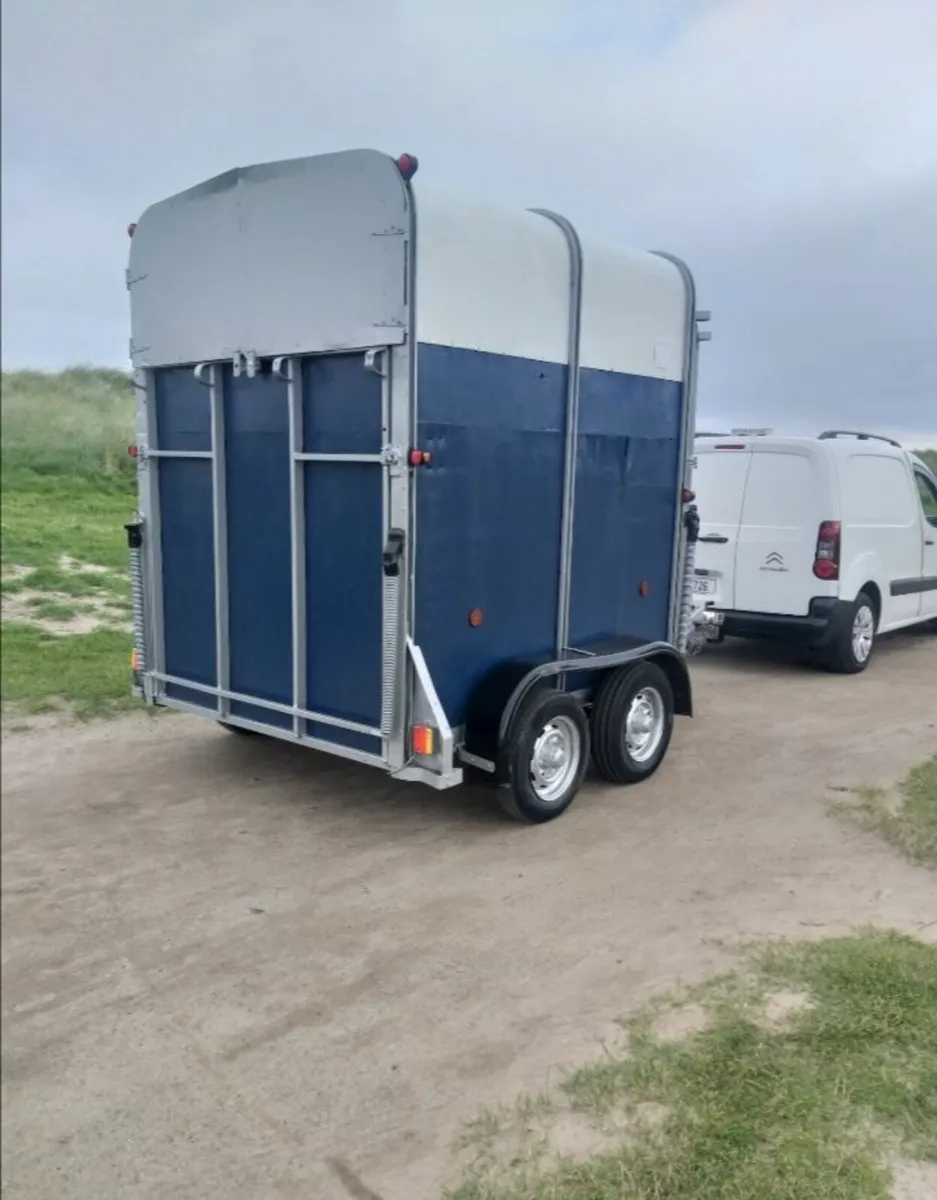 Ivor Williams 505 Hunter horse trailer - Image 3