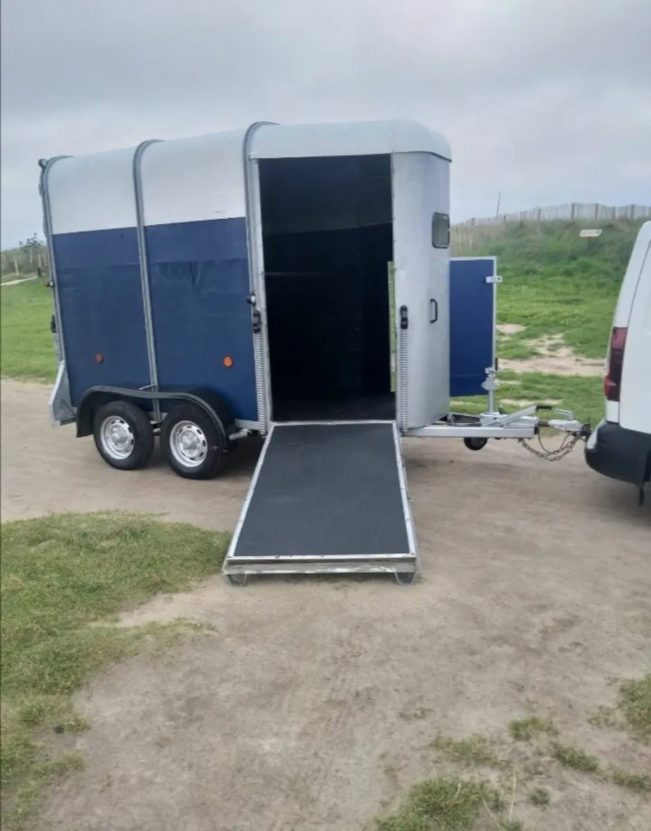 Ivor Williams 505 Hunter horse trailer - Image 4