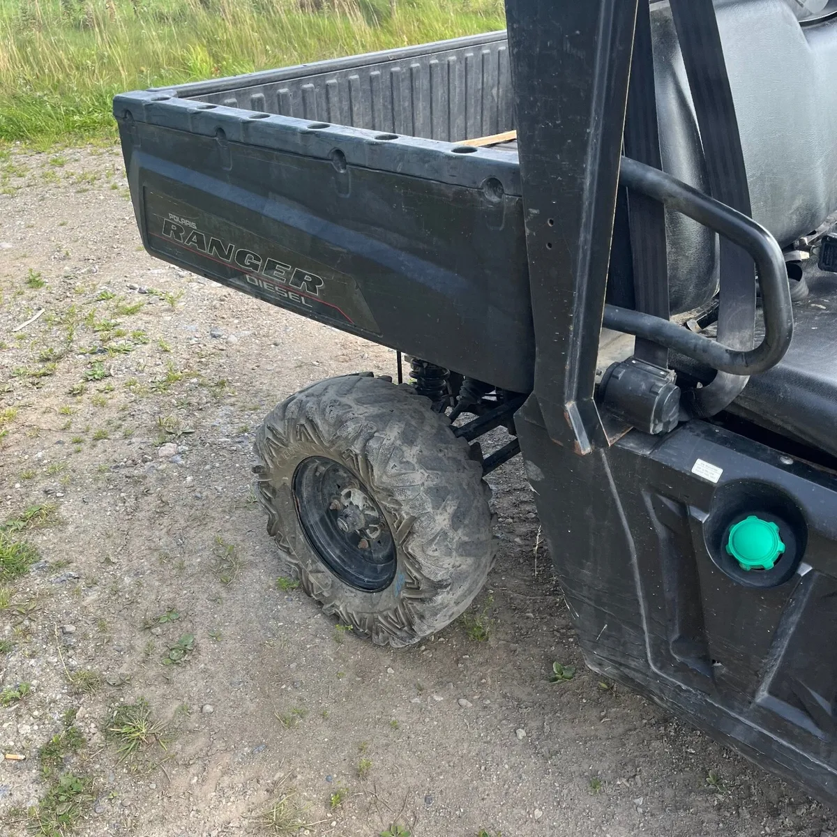 Diesel Gator - Image 3
