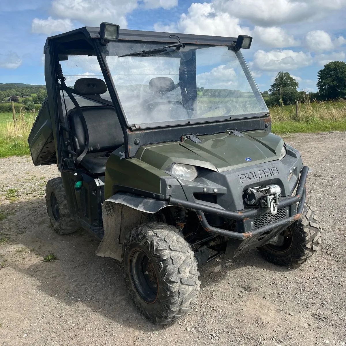 Diesel Gator - Image 4