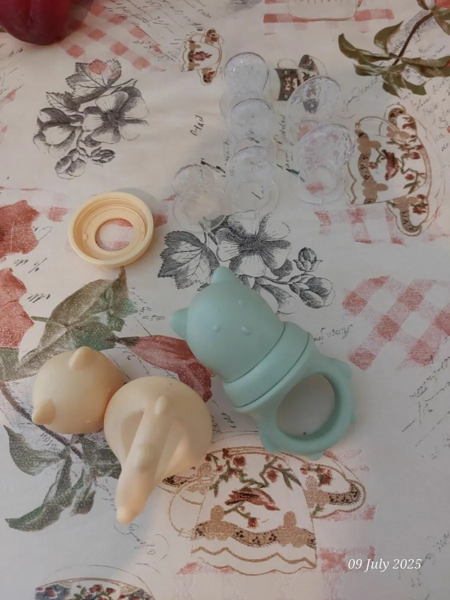 Baby Fruit Feeder with Silicone Nipple Set - Image 1