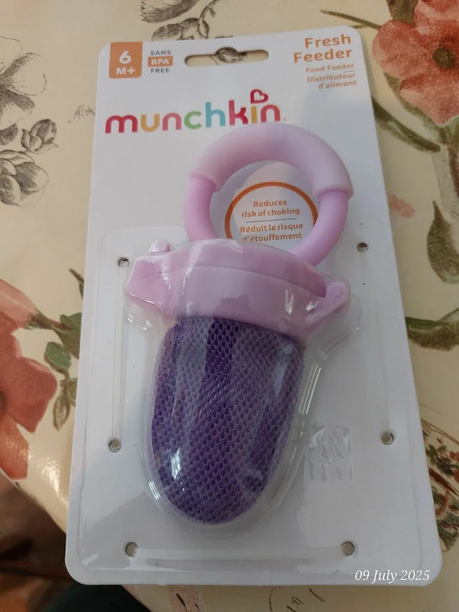 Baby Fruit Feeder with Silicone Nipple Set - Image 2